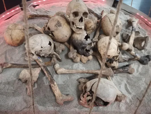 FOTO Fragmente de sarcofag regal, obiecte de cult, ceramică, bijuterii, piese arhitecturale – toate adunate de pe șantierul arheologic de la mănăstirea cisterciană de la Igriș