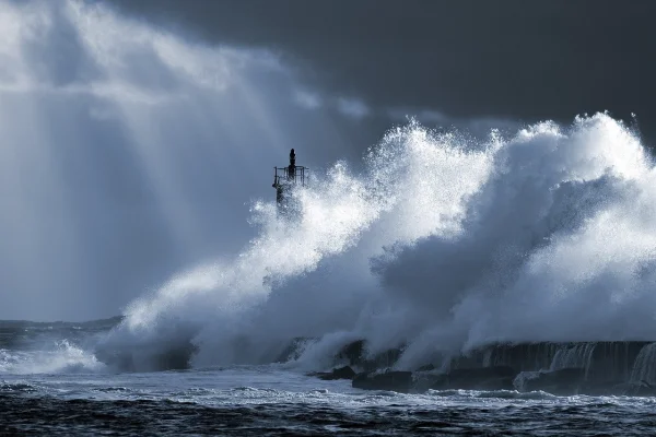 Noul şef al agenţiei americane pentru dezastre spune că nu ştia că SUA au un sezon al uraganelor / Personalul FEMA a rămas perplex (Reuters)