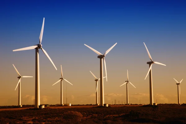 Burduja: Peste 30% din energia României este produsă de eoliene