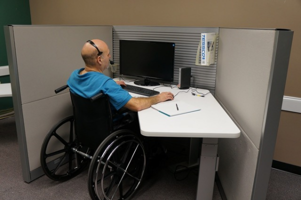 Guvernul atacă certificatele cu handicap