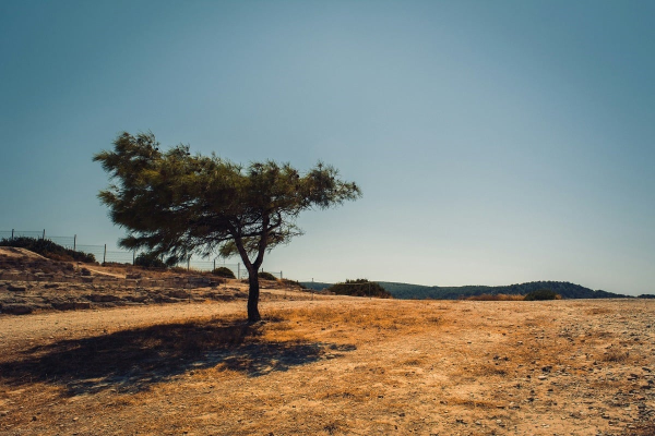 Canicula se intensifică în sudul Europei / Marea Mediterană a depăşit 26°C în Insulele Baleare / Potrivit oamenilor de ştiinţă, canicula repetată este un indicator clar al încălzirii globale