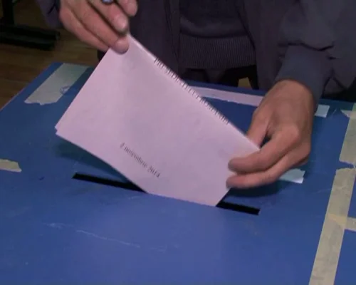 Alertă în România înainte de alegeri. Cum funcționează metoda de tip Doppelganger, demascată de MAI