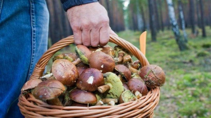 Femeie condamnată pentru crimă triplă în cazul ciupercilor otrăvitoare