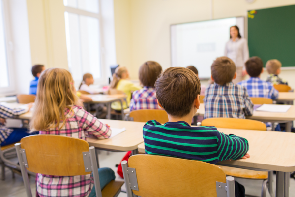 Sistemul educațional românesc nu formează viitori cetățeni. „A fost organizat în logică elitistă”, spune un expert în educație