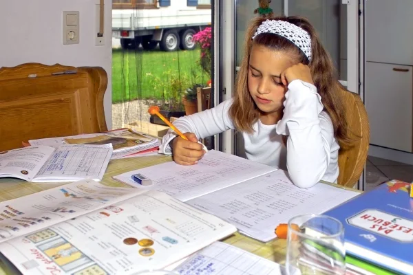 Legalizarea Homeschooling-ului în România, „pentru situații de excepție”, este propusă de ministrul Educației, Daniel David, care anunță pașii de implementare / Constituția prevede că învățământul se desfășoară „în unități de stat, particulare și confesionale”