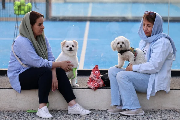 Iranienii nu îşi mai pot plimba câinii în locuri publice, în tot mai multe oraşe. Patrupedele, considerate „necurate” și o influenţă occidentală