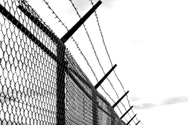 Australia, „consternată” după încarcerarea lui Oscar Jenkins în Rusia. El este considerat „mercenar” pentru Ucraina