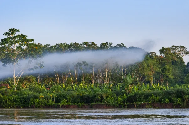 Franța va construi o închisoare de înaltă securitate în Amazon pentru a izola traficanții de droguri