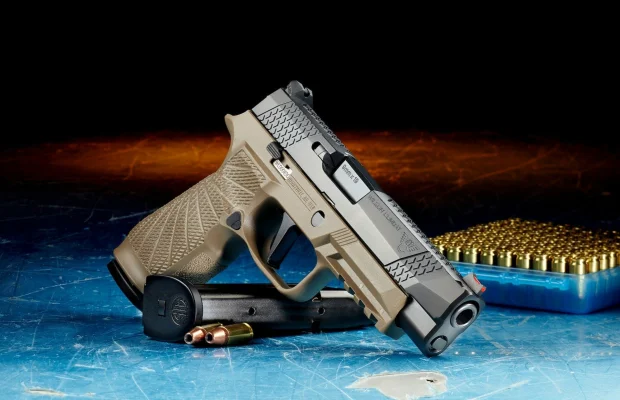 Guvernul austriac va crește vârsta minimă de achiziţionare a anumitor tipuri de arme, în urma atacului de la Graz, soldat cu moartea a nouă adolescenţi şi a unui profesor