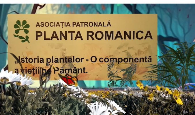 Industria suplimentelor alimentare critică dur Guvernul Bolojan: 'Decizie iresponsabilă cu efecte grave asupra sănătății publice'