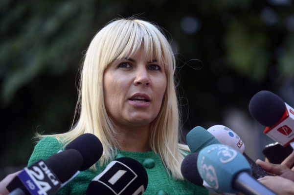 Elena Udrea și-a retras cererea de eliberare condiționată. Ce așteaptă fostul ministru SURSE