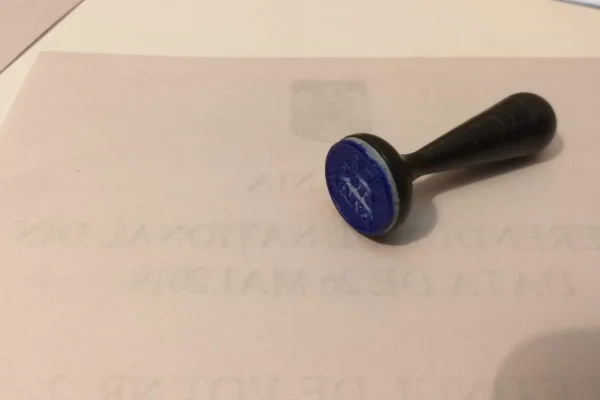 Alegeri Locale 2024 – PSD vrea preşedinţia a 23 de Consilii Judeţene, iar PNL mizează pe 17-18 consilii. Şapte judeţe şi-ar putea schimba culoarea politică