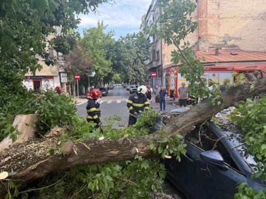 Furtuna a făcut prăpăd în București și Ilfov. O femeie a murit, alte două persoane au fost rănite. Zeci de copaci doborâți de vânt
