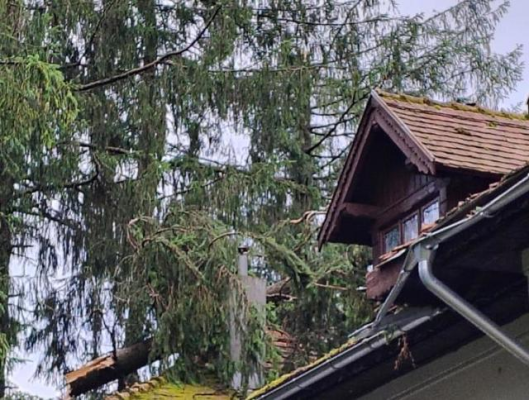 Avarii la clădirea Gării Sinaia, Turnul cu Ceas al Castelului Peleş. Ministerul Culturii şi Institutul Naţional al Patrimoniului evaluează impactul fenomenelor meteorologice severe