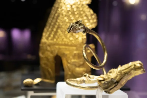 Un Peugeot galben, folosit la furtul artefactelor româneşti de la Muzeul Drents