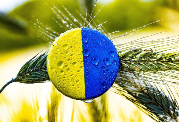 Ministerul de Externe, despre importurile de produse alimentare din Ucraina: ”Urmăreşte protejarea şi sprijinirea corespunzătoare a agricultorilor şi producătorilor români simultan cu continuarea sprijinului pentru Ucraina”