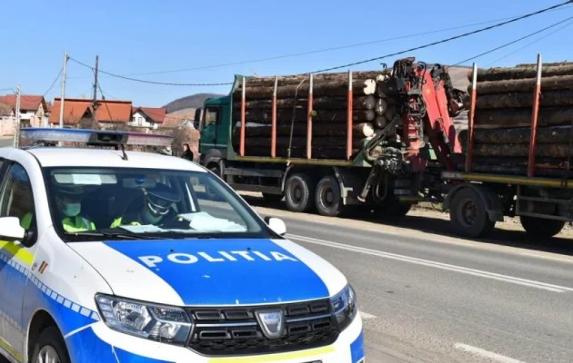 Economiile bugetare bagă la apă Garda Forestieră