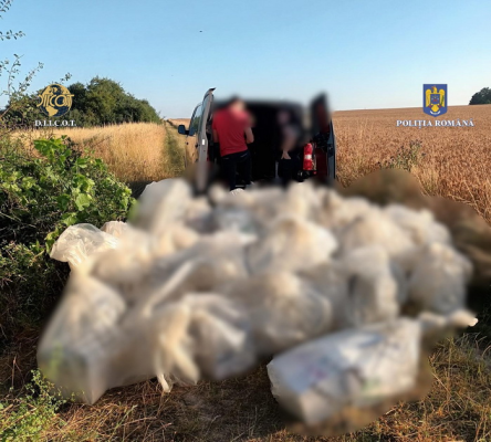 BIHOREANUL | Rețea de hoți români de pesticide, destructurată în urma unei anchete internaționale. Descinderi în Bihor, Galați și Vrancea. Prejudiciul depăşeşte 3 milioane de euro