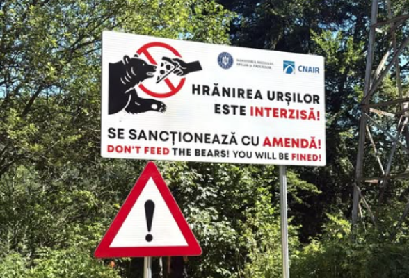 Tot mai mulţi urşi ajung în zone locuite din județul Vâlcea. Într-o singură zi, jandarmii au fost chemaţi de patru ori să alunge animalele