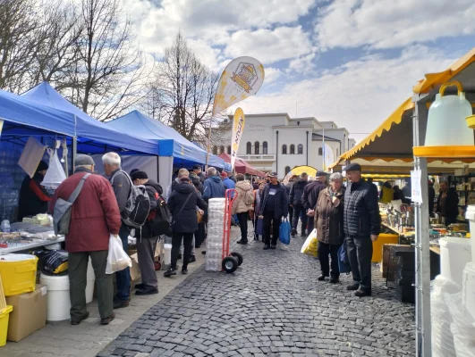 Reportaj din Târgul mierii. Ce cred românii despre politică și cum văd ei viitorul președinte. Acvariul de albine și oamenii