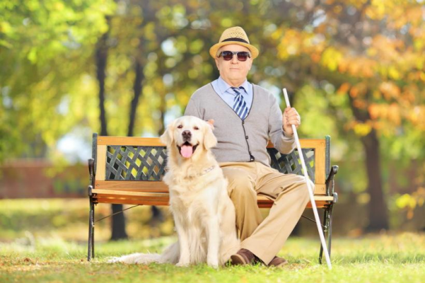 5 rase de câini sensibili care știu când ai nevoie de o îmbrățișare