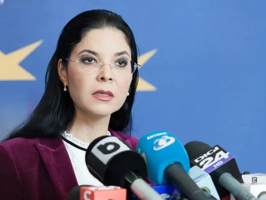Ana Birchall: Decizia CCR privind declarațiile de avere este un regres periculos