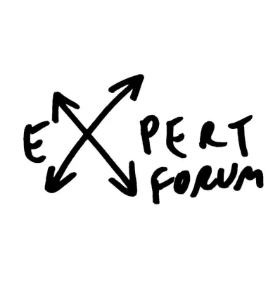 Expert Forum: Centru de informare şi asistenţă electorală pentru cetăţenii interesaţi pentru scrutinul de duminică