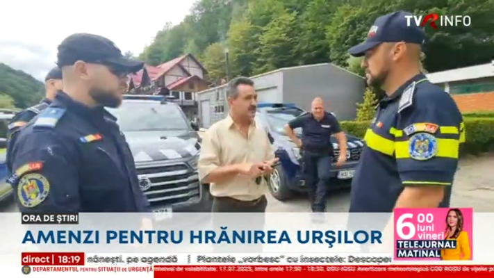 Sancțiuni pentru hrănirea urșilor. Ministrul Mediului: Amenzile trebuie să fie crescute drastic. Autoritățile din Argeș organizează patrule zilnice pe Transfăgărășan
