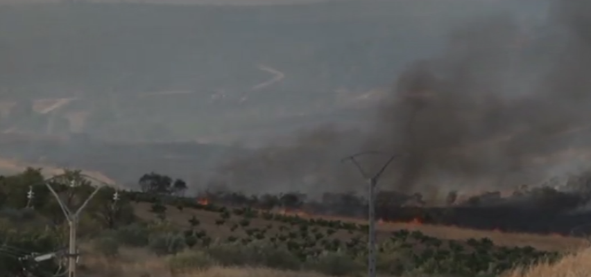 Incendii de vegetaţie în zona Toledo, centrul Spaniei. Zeci de persoane au fost evacuate