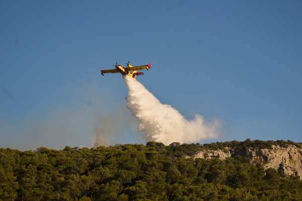 Grecia luptă împotriva incendiului de vegetație din insula Evia și comunică unele progrese în Creta