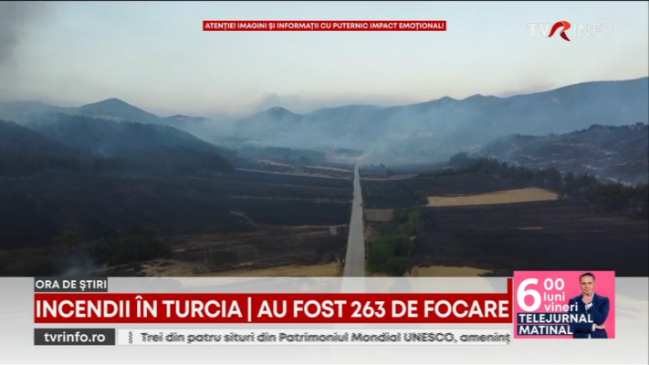 Incendii puternice de vegetație au devastat estul Turciei. Pompierii s-au luptat cu peste 200 de focare. Casele și recoltele localnicilor, făcute scrum
