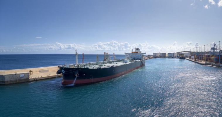 Malta, noul cal troian al rușilor în UE