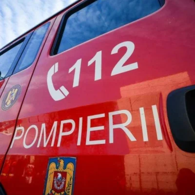 Copil de 2 ani, muşcat de câini pe o stradă din Medgidia / Victima a fost transportată la spital