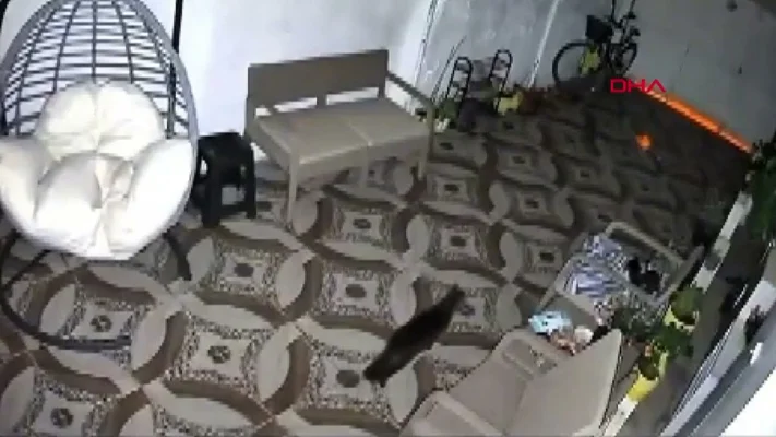 VIDEO. Momentul în care un cutremur de magnitudine 5,8 zguduie sud-vestul Turciei