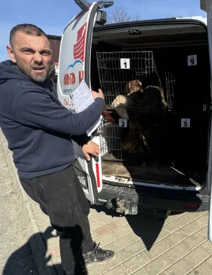 REPORTER DE IAȘI | Cel mai mare „abator” de câini din România. Firma adună maidanezi din 10 județe și are o cifră de afaceri de peste 3 milioane de euro pe an