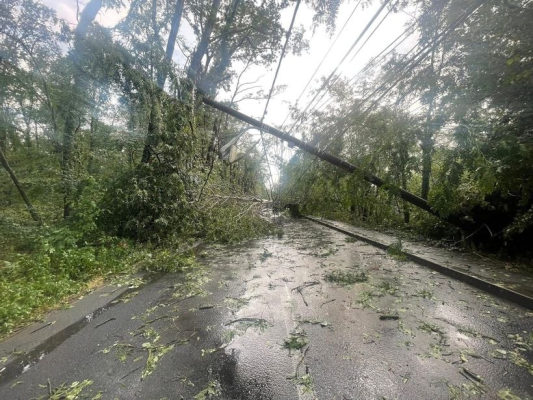 Cartierul Greenfield din București, blocat de copaci şi stâlpi căzuţi în urma furtunii / E singurul drum de acces în cartier