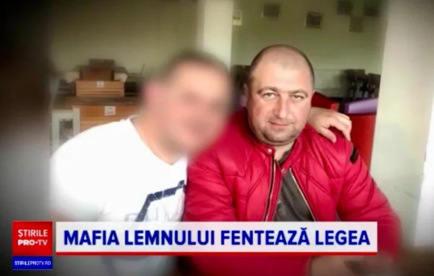 VIDEO SURSE Vasile Pîrlac, consilier județean PSD Suceava considerat unul dintre capii mafiei lemnului, adus cu mascații la Parchetul General / Este acuzat, alături de alte 43 de persoane, de transport de lemne fără documente justificative și evaziune fiscală