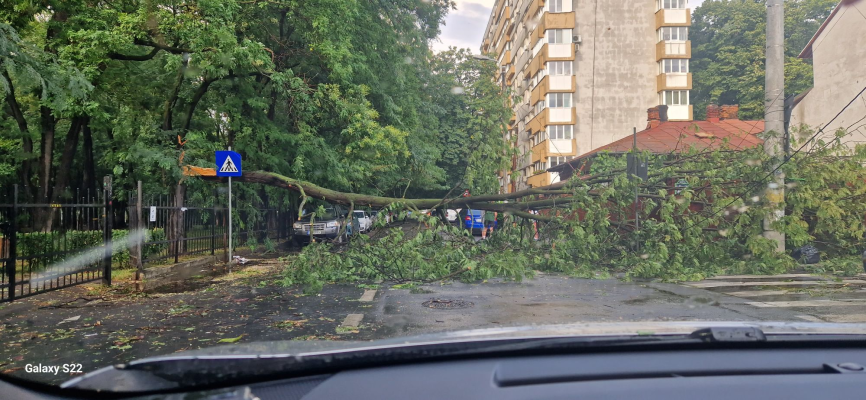 FOTO/VIDEO Furtuna a făcut ravagii în București. Imagini cu zeci de arbori puși la pământ