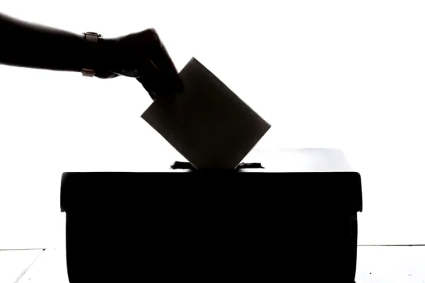 AEP explică ce trebuie să conțină materialele publicitare electorale în timpul campaniei pentru alegerile prezidențiale