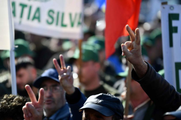 SILVA protestează față de reorganizarea Romsilva: „Guvernul pune în pericol pădurile statului”