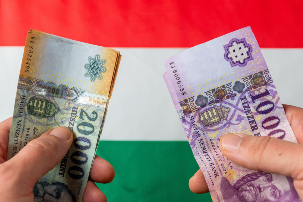 Directorul general al celei mai mari bănci din Ungaria cere adoptarea EURO și PREDICTIBILITATE în politicile economice