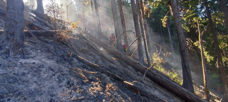 Maramureş: Elicopterul Black Hawk intervine pentru stingerea incendiului din Munţii Ţibleş