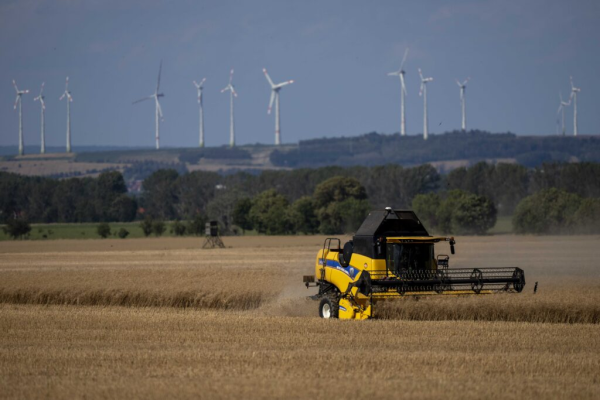 Noul plan pentru agricultură. Guvernul vrea să crească producția internă și să reducă importurile de alimente