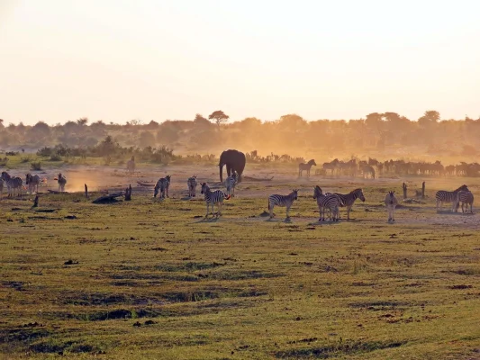 Modelul învățământului profesional dual de la Brașov ar putea fi preluat de Botswana / Ministrul Economiei din statul african: ”Ce am descoperit aici și ni s-a părut foarte interesant pentru țara noastră”