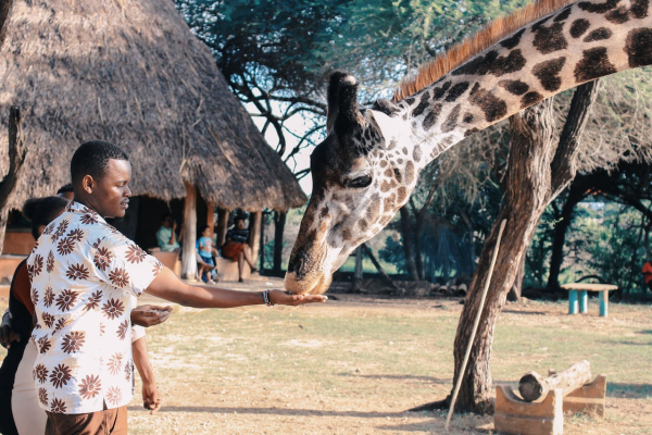 Trei răniţi uşor la Belgrad, doi adulţi şi un copil de doi ani, după ce o zebră scapă din ţarc la grădina zoologică