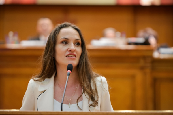 Un nou derapaj grotesc al deputatului AUR, Mihail Neamțu. Cum și-a bătut joc de noul ministru de Externe, cu o fotografie modificată grosolan FOTO