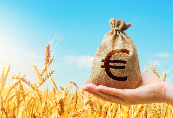 PSD vrea poziție unitară din partea României la negocierile legate de viitorul buget al UE pentru agricultură