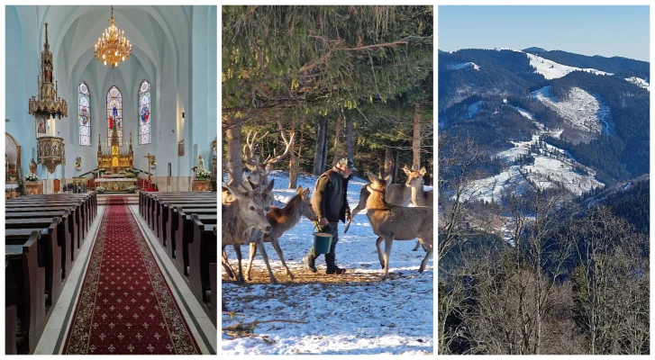 România frumoasă din Suceava: Natură, oameni și tradiții