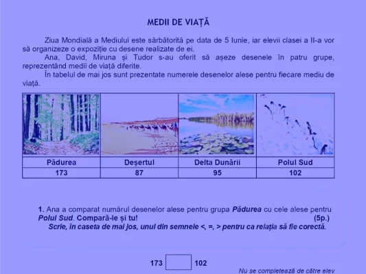 Subiectele de la Evaluarea Națională de clasa a II-a 2025, la Matematică și Explorarea mediului: „Câți pereți vor fi acoperiți cu 24 de desene din Deșert, știind că pe fiecare perete încap câte 6 desene?”