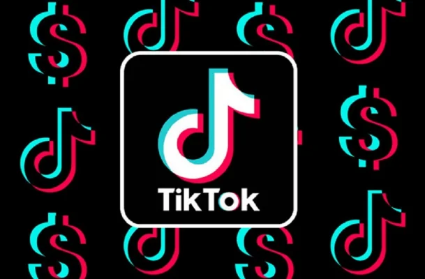Vicepreședintele ANCOM dorește suspendarea platformei TikTok în România